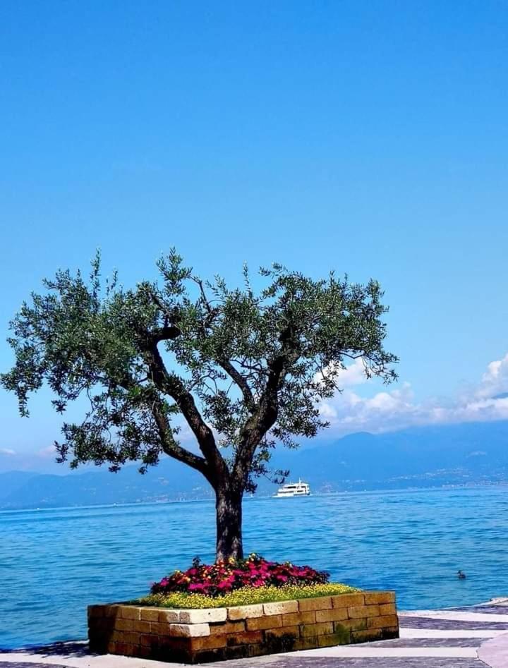 Mahatma Residence Lake View Lazise Quarto foto